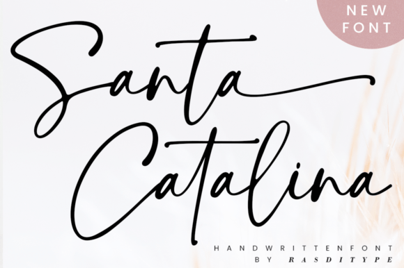 Santa Catalina: The Handwritten Font for Creative Brands